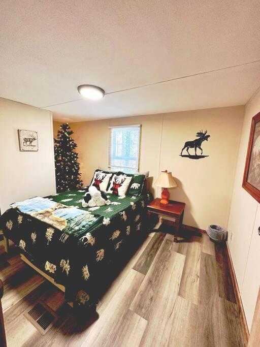 Uncle Bill'S Lodge & Soccer Pool Showdown Surry Exteriér fotografie